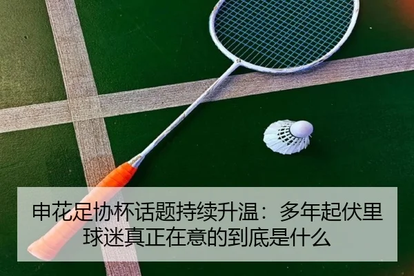 申花足协杯话题持续升温：多年起伏里球迷真正在意的到底是什么